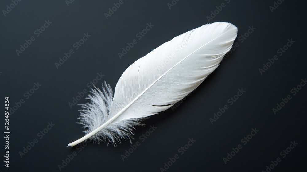 Single white feather on black background. Perfect for themes of lightness, peace, or writing. Single white feather on black background. Perfect for themes of lightness, peace, or writing.