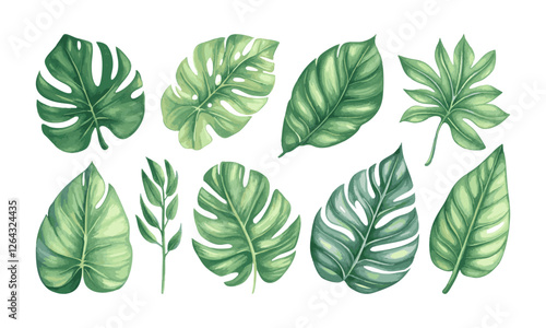Set of watercolor leaf collection hand drawn design vector element. botanical set of tropical foliage branch for wedding poster invitation design element