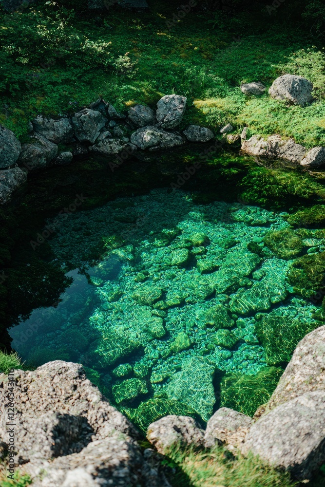 Clear water spring bordered by rocks, vegetation and a blurry background