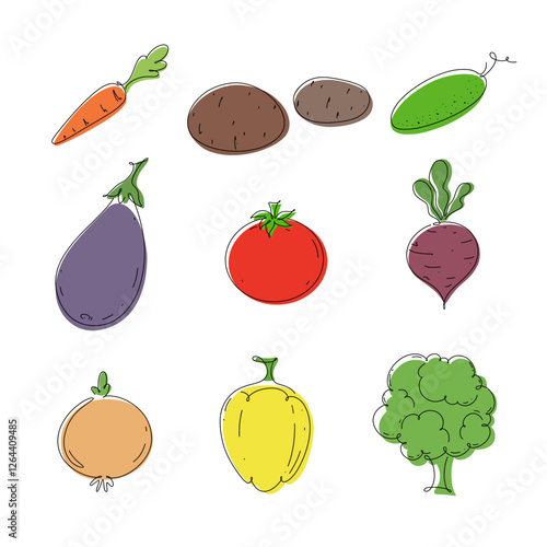 A set of different fresh vegetables. Color illustration, hand-drawn, isolated on white, vector. Graphic simple drawing of healthy, raw, organic food. A delicious bright element for decoration, menu