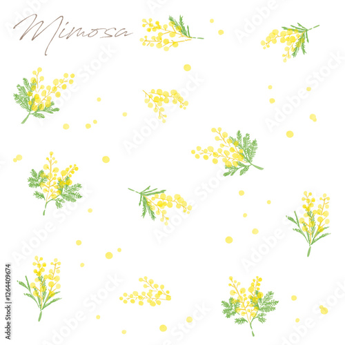 ミモザの手描き水彩画イラスト