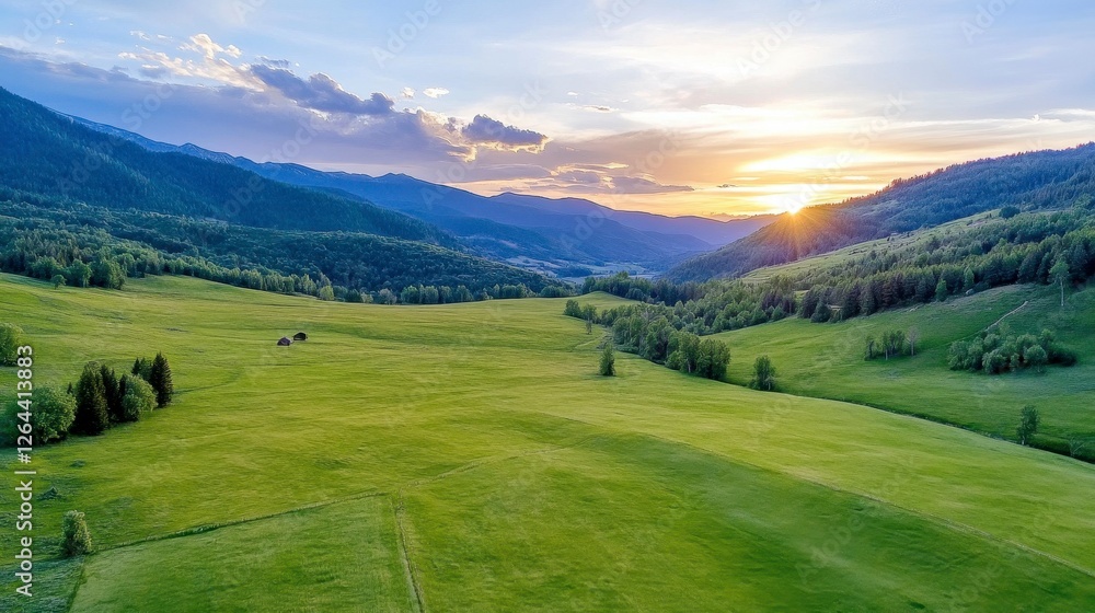Fototapeta premium Lush Green Meadow Valley Surrounded by Forested Mountains at Golden Sunset Sunlight