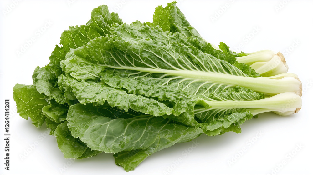 Bunch of fresh mustard greens with crinkled leaves and bright green hues Bunch of fresh mustard greens with crinkled leaves and bright green hues