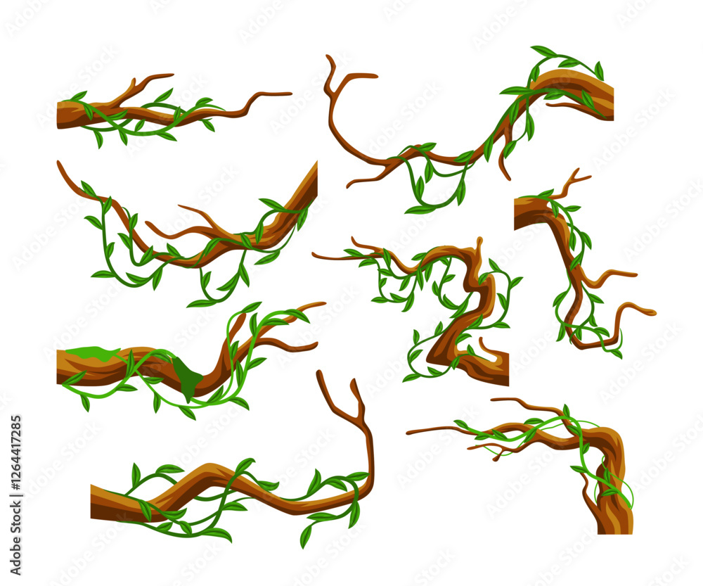 Obraz premium Set of Tropical hanging vines collection for jungle border, Liana or vine climbing winding branches cartoon vector illustration, wild rainforest vines branches with leaves, flat vector.