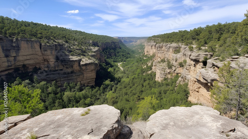 Canyon Vista: A breathtakin...