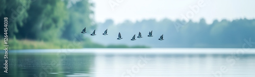 Tranquil Flight: A serene a...
