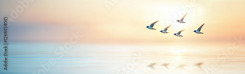 Birds in Flight at Sunset: ...