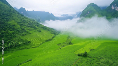 Misty Mountain Valley: Aeri...