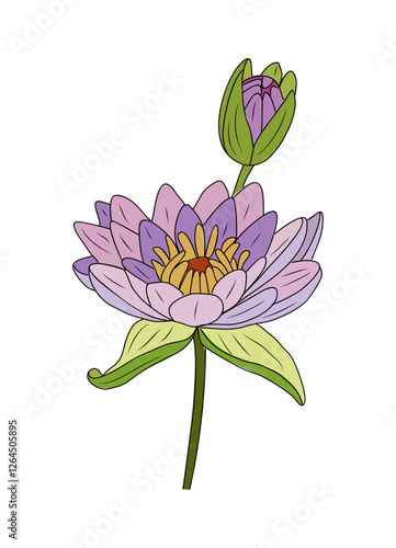 Water Lily, July birth month flower, hand drawing, colored outline, icon. Lotus Modern design for logo, tattoo, wall art, branding, packaging. Vector illustration isolated on transparent background.