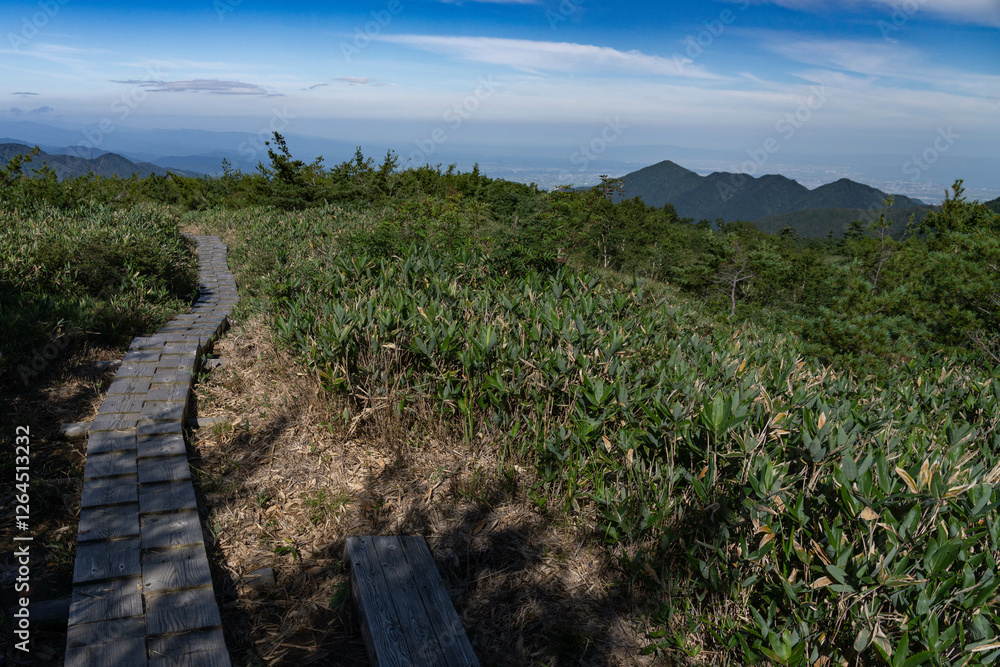 Fototapeta premium 大日平の木道（富山県）