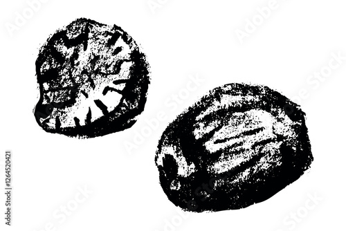 Hand drawn nutmeg illustration, bakery spice symbol, nutmeg seed sign. Cahrcoal sketch, natural flavoring doodle, organic flavouring drawings. Fragrant nutmeg drawing for label, banner design.