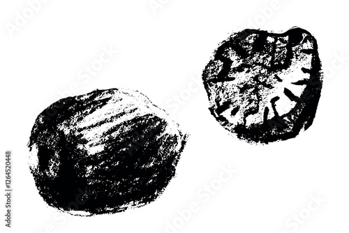 Hand drawn nutmeg illustration, bakery spice symbol, nutmeg seed sign. Cahrcoal sketch, natural flavoring doodle, organic flavouring drawings. Fragrant nutmeg drawing for label, banner design.