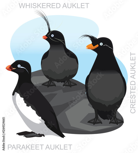 Bird Auklet Cartoon Character Seamless Wallpaper Background