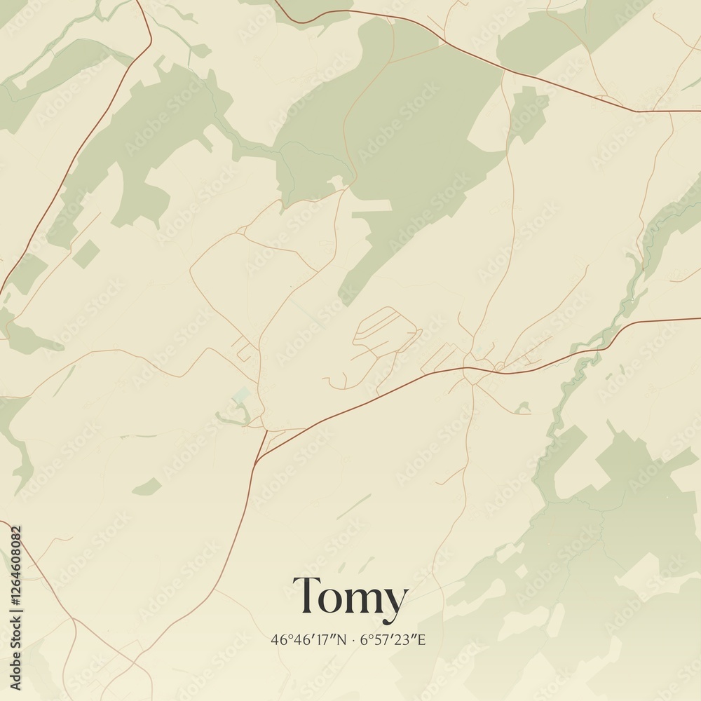 Fototapeta premium Vintage map of Tomy, Switzerland.