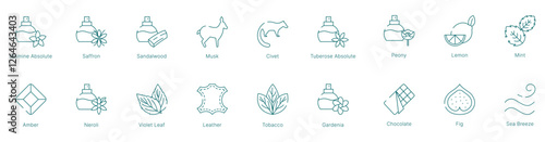 Spicy and Aromatic Fragrance Notes Vector Icon Set