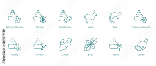 Floral and Spicy Fragrance Notes Vector Icon Set