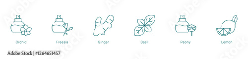 Bright and Floral Fragrance Notes Vector Icon Set