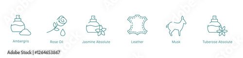 Rich and Sensual Fragrance Notes Vector Icon Set