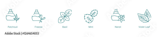 Fresh and Herbal Fragrance Notes Vector Icon Set