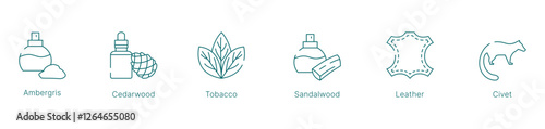 Classic and Masculine Fragrance Notes Vector Icon Set