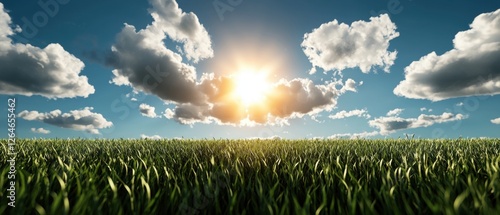 A Field of Green Grass Under a Blue Sky photo