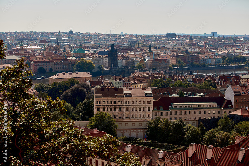 Obraz premium View of Prague city, capital of Czech Republic, Europe.