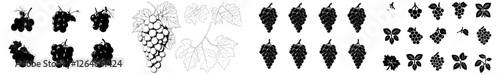 A contemporary illustration featuring the silhouette of grapes, hand drawn and set against a white background