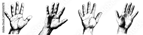 A woman's hand forms a gesture with five fingers up in a modern illustration, signifying a quantity, as a female demonstrates the signal with her open palm, drawing attention to the counting motion