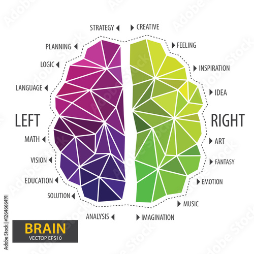 Left and right human brain concept. Infographics brain design. Polygonal art style. Modern geometric graphic. Triangle vector illustration.