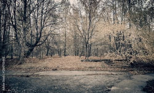 destroyed and burned houses in the city in Ukraine photo