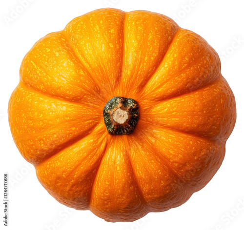 High Angle Studio Shot of Vibrant Orange Pumpkin with Textured Skin on Transparent Background