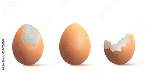 Set of egg and eggshell broken on white background