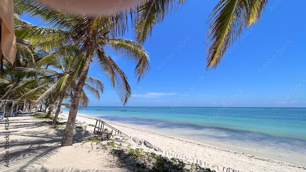 Paradise Beach with Palm Trees and Turquoise Waters: A tropical paradise with white sand, swaying palm trees, and crystal-clear turquoise waters. Paradise Beach with Palm Trees and Turquoise Waters: A tropical paradise with white sand, swaying palm trees, and crystal-clear turquoise waters.