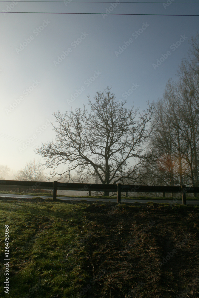 Photographie d'un paysage sous la brume avec une route et ses barrières de sécurité