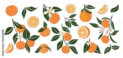 Hand drawn abstract oranges set. Collection of whole and cut tangerines, branches, flowers and leaves vector illustrations isolated on transparent background. Fresh juicy citrus fruit clip art.