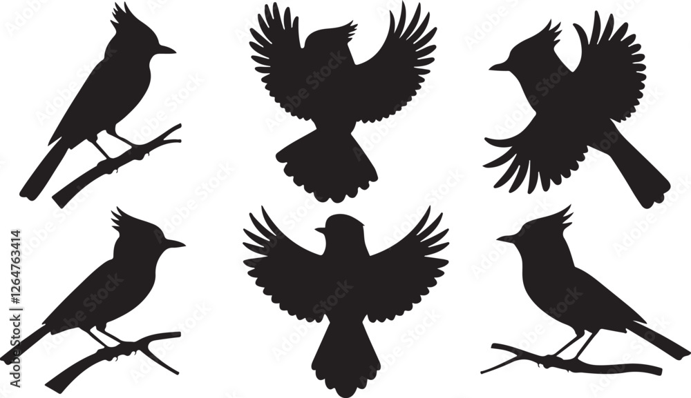 Obraz premium Sparrow silhouettes