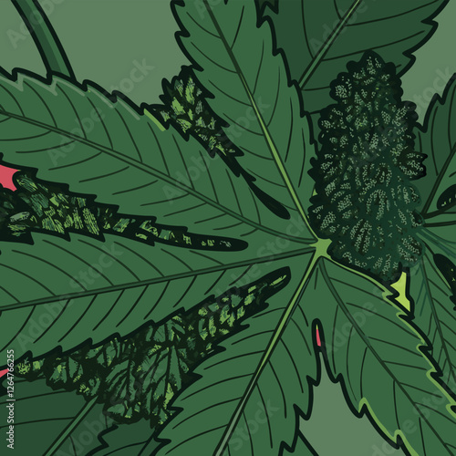 Cannabis leaf, hemp plant, growing medical cannabis in special conditions for medical needs, hemp plant, cbd