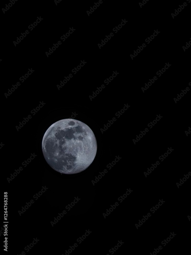 Fototapeta premium moon