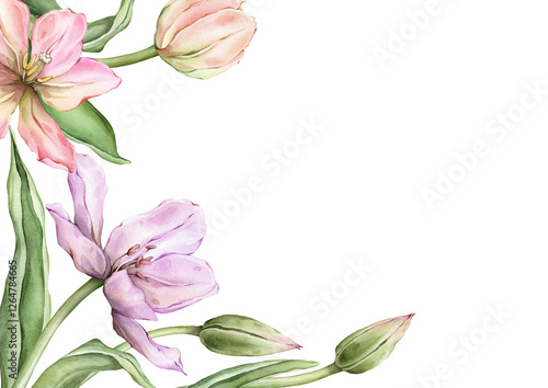 Wallpaper Mural Rectangular Frame with pastel pink light Tulips and open bud for Hello Spring greeting card. Hand drawn watercolor illustration delicate perennial bulbous flower for wedding or invitation template. Torontodigital.ca