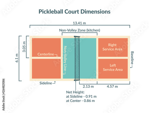 Pickleball court dimentions. Top view of the court with all dimensions and zone names. Vector flat background.