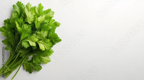 Fresh Cilantro Bunch on White Isolated Background. Generative AI photo