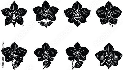 Orchid flower silhouette isolated on a white background