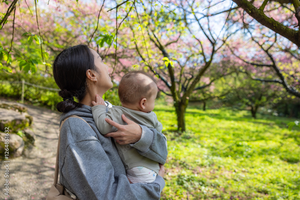 Mother holding baby under blooming cherry trees Mother holding baby under blooming cherry trees
