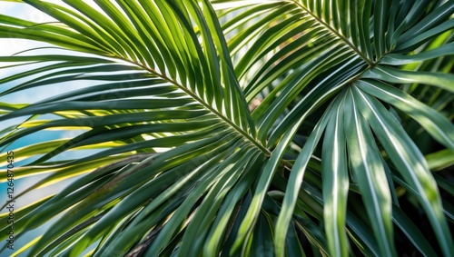 Close-up of green palm leaves with intricate patterns and textures against a blurred background of blue water Copy Space