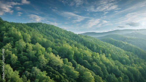 Lush green forested hills under a clear blue sky with soft clouds and distant mountains natural landscape Copy Space photo