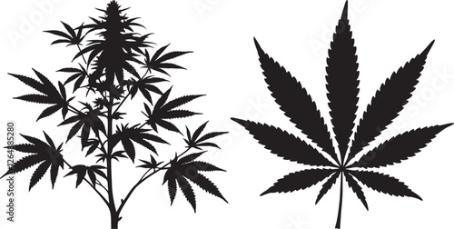Cannabis tree and leaf vector silhouette on white background