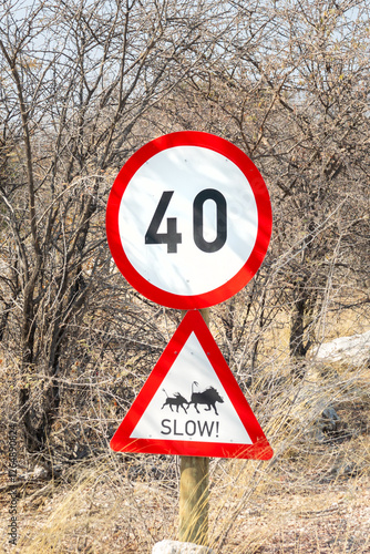 Obraz na płótnie Warthogs slow, wildlife road sign in Namibia, Africa w salonie