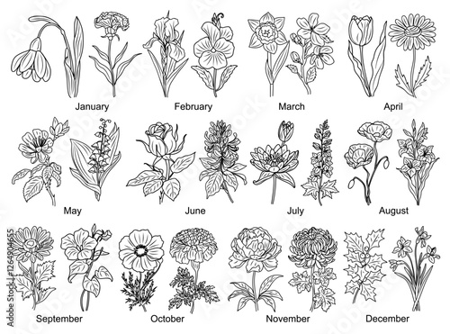 Set of Birth month flowers line art vector illustrations. Snowdrop, Violet, Cherry Blossom, Water lily, poppy, morning glory, cosmos, chrysanthemum, rose outline drawings for tattoo, logo, wall art.