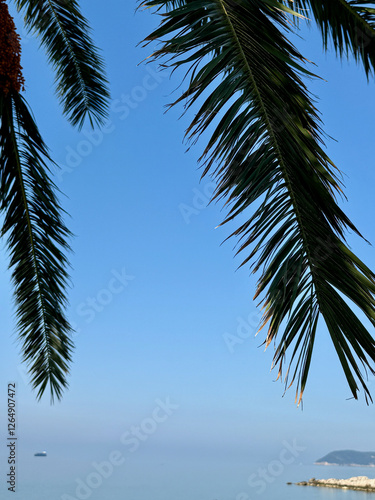 Lush green palm leaves at the top, against a clear blue sky, with an open space for text, at the background horizon line with the calm sea and shore in Bar, Montenegro