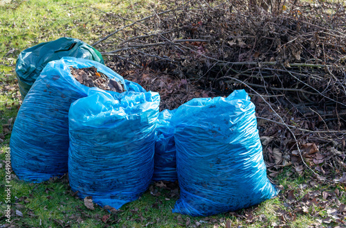 Obraz na płótnie Blue garbage bags with garden waste in spring for recycling w salonie